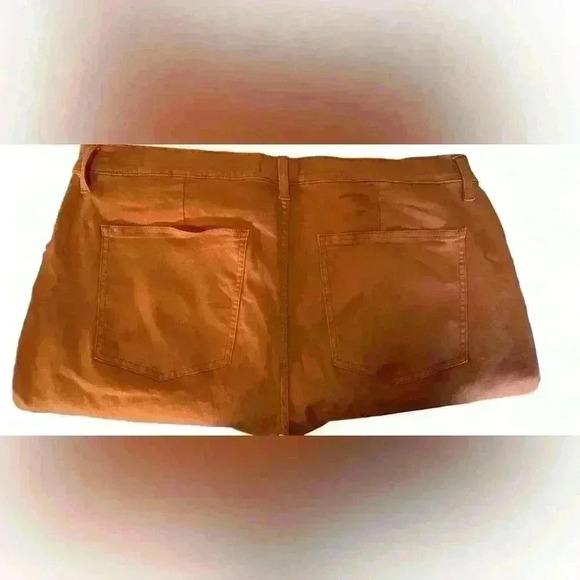 Studio Blue Rust Orange Crop Ankle Pants Size 18W - Picture 3 of 9